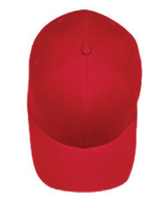 Flexfit 6 Panel Structured Mid Profile Cap