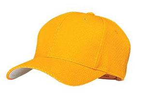 Youth Pro Mesh Cap