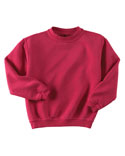 Kids Pigment Dyed Ringspun Cotton Fleece Crew